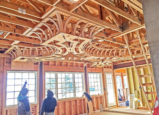 Astroid Curve Ceilings