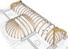 3D CAD Drawings