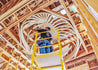 Oval Ceiling Domes